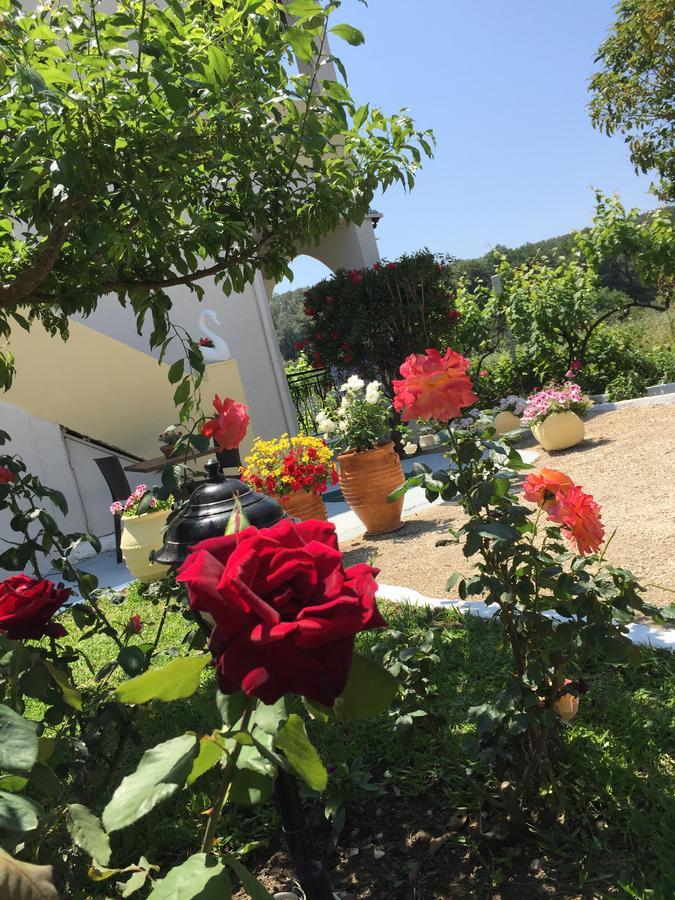 Villa Maria Perivólion エクステリア 写真